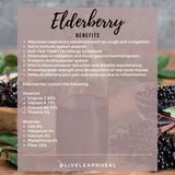 Elderberry Elixir